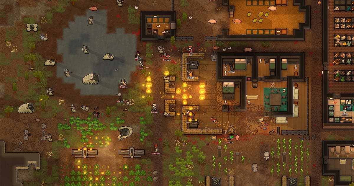 Kolonie in RimWorld von oben mit Feldern und ummauerten Räumen auf nackter Erde, dazwischen Fackeln und Vieh